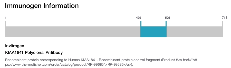 KIAA1841 Polyclonal Antibody