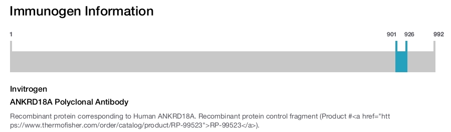 ANKRD18A Polyclonal Antibody