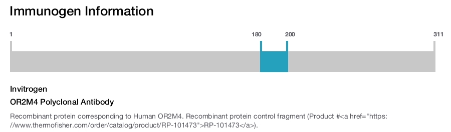 OR2M4 Polyclonal Antibody