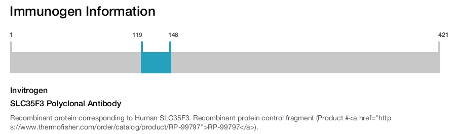 SLC35F3 Polyclonal Antibody