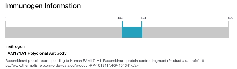 FAM171A1 Polyclonal Antibody