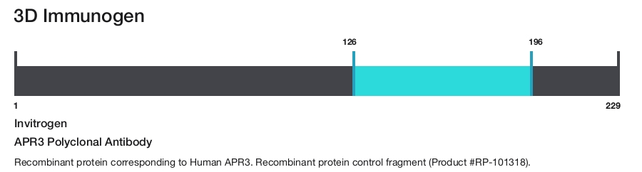 APR3 Polyclonal Antibody