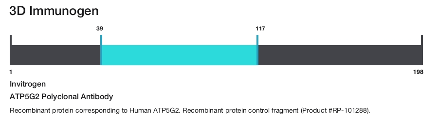 ATP5G2 Polyclonal Antibody