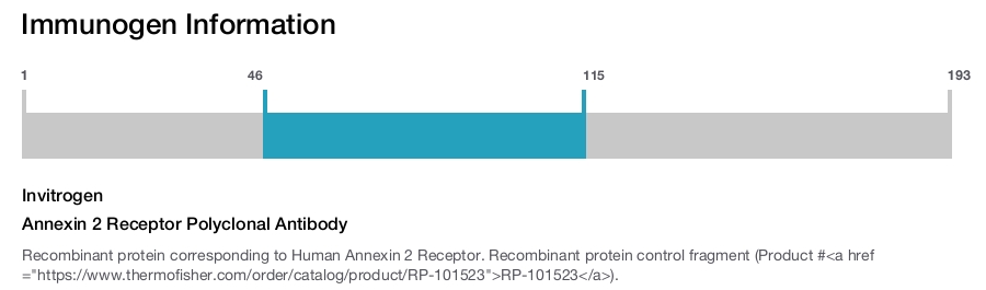 Annexin 2 Receptor Polyclonal Antibody
