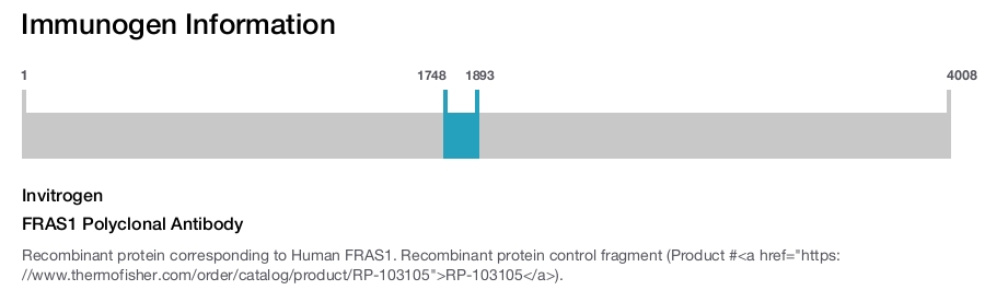 FRAS1 Polyclonal Antibody