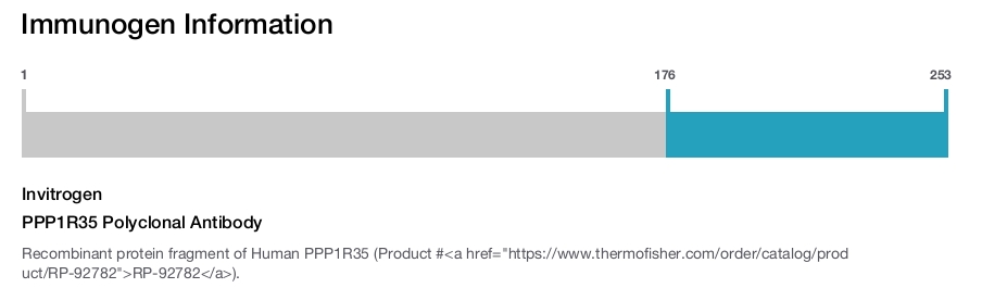 PPP1R35 Polyclonal Antibody