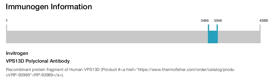 VPS13D Polyclonal Antibody
