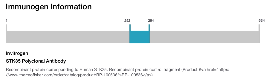 STK35 Polyclonal Antibody
