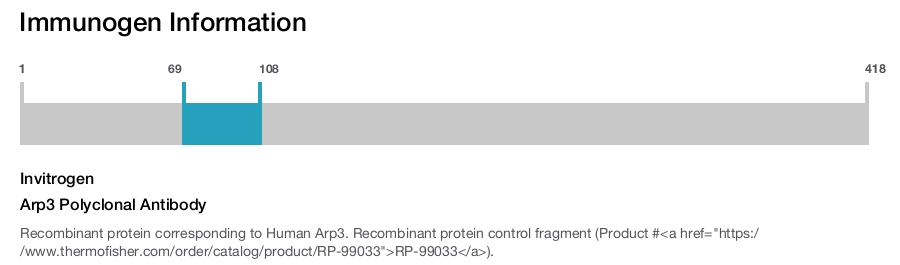 Arp3 Polyclonal Antibody