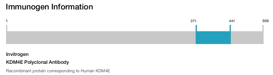 KDM4E Polyclonal Antibody