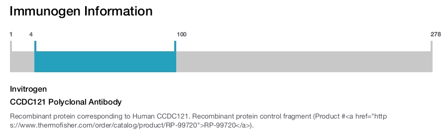 CCDC121 Polyclonal Antibody