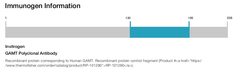 GAMT Polyclonal Antibody