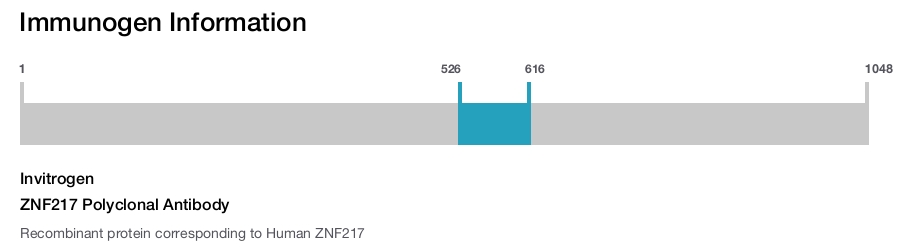ZNF217 Polyclonal Antibody