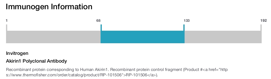 Akirin1 Polyclonal Antibody