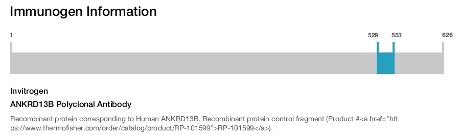 ANKRD13B Polyclonal Antibody