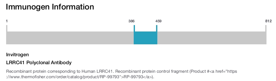 LRRC41 Polyclonal Antibody