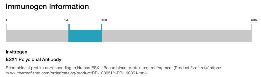 ESX1 Polyclonal Antibody