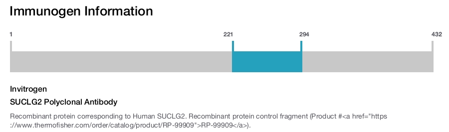 SUCLG2 Polyclonal Antibody