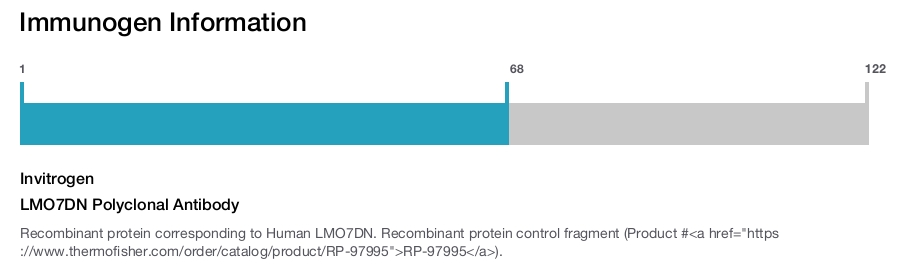 LMO7DN Polyclonal Antibody