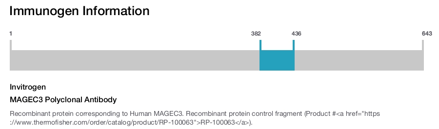 MAGEC3 Polyclonal Antibody
