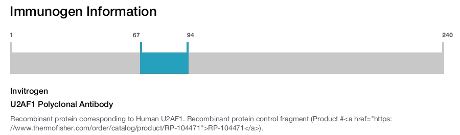 U2AF1 Polyclonal Antibody