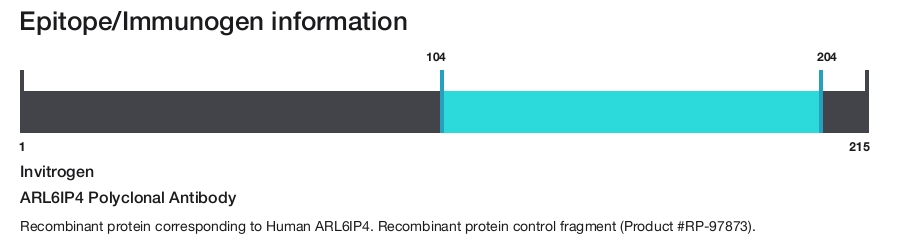ARL6IP4 Polyclonal Antibody