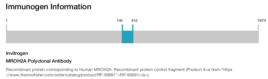 MROH2A Polyclonal Antibody