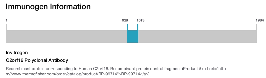 C2orf16 Polyclonal Antibody