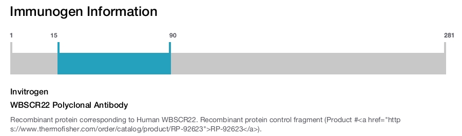 WBSCR22 Polyclonal Antibody