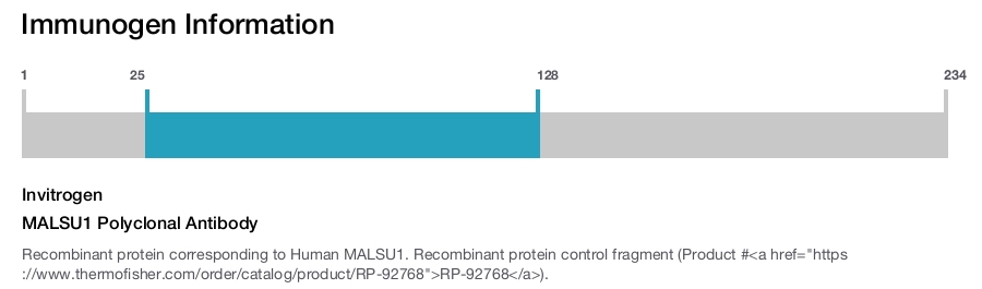 MALSU1 Polyclonal Antibody