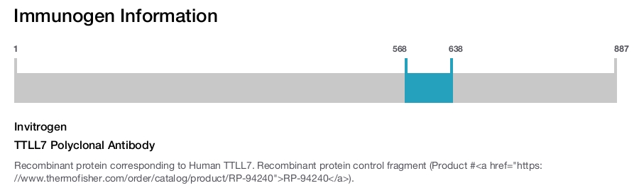 TTLL7 Polyclonal Antibody