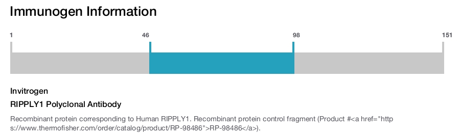 RIPPLY1 Polyclonal Antibody