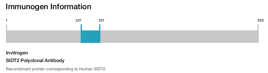 SIDT2 Polyclonal Antibody