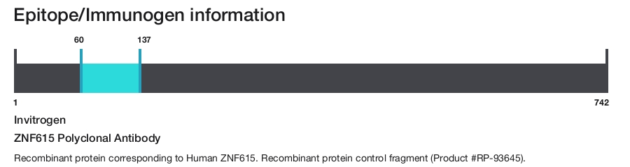 ZNF615 Polyclonal Antibody