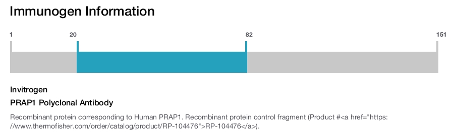 PRAP1 Polyclonal Antibody