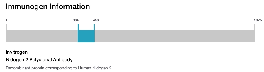 Nidogen 2 Polyclonal Antibody