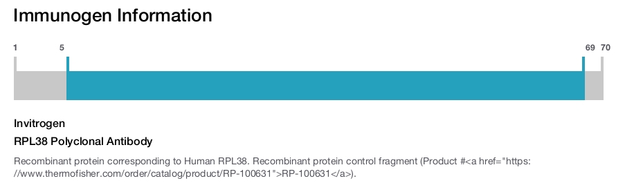 RPL38 Polyclonal Antibody
