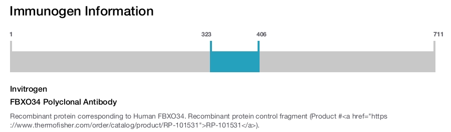 FBXO34 Polyclonal Antibody