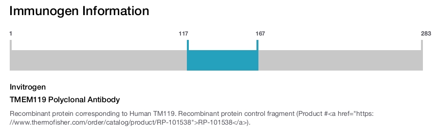 TMEM119 Polyclonal Antibody