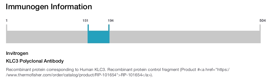 KLC3 Polyclonal Antibody
