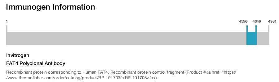 FAT4 Polyclonal Antibody