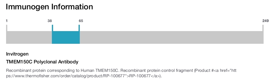 TMEM150C Polyclonal Antibody