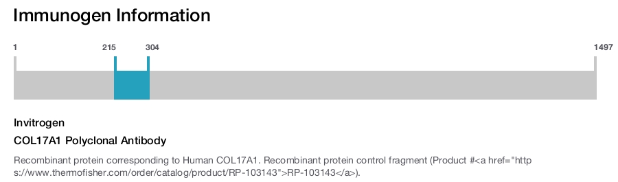 COL17A1 Polyclonal Antibody