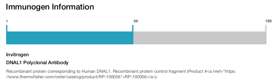 DNAL1 Polyclonal Antibody