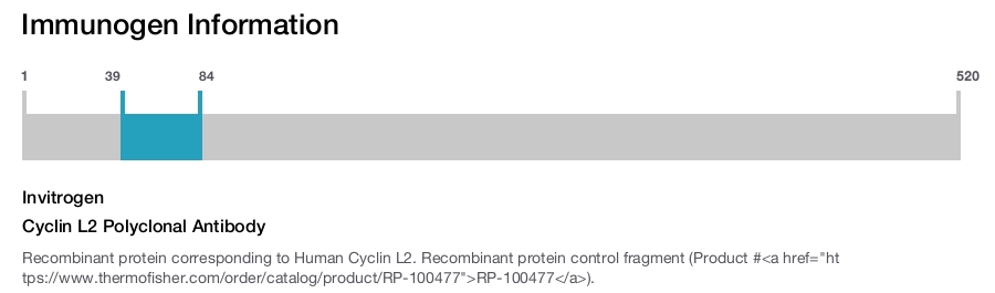 Cyclin L2 Polyclonal Antibody