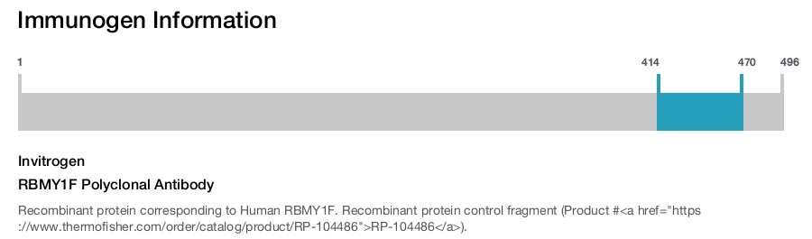 RBMY1F Polyclonal Antibody