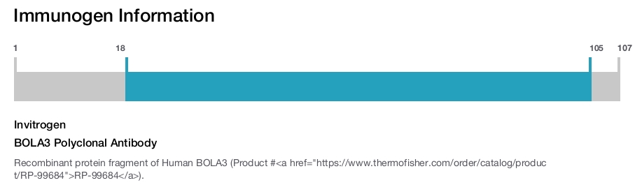 BOLA3 Polyclonal Antibody