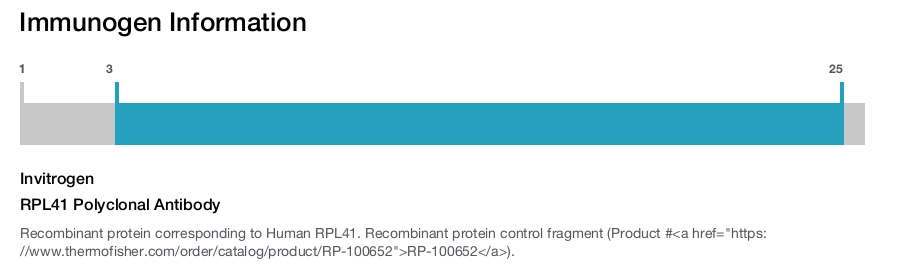 RPL41 Polyclonal Antibody