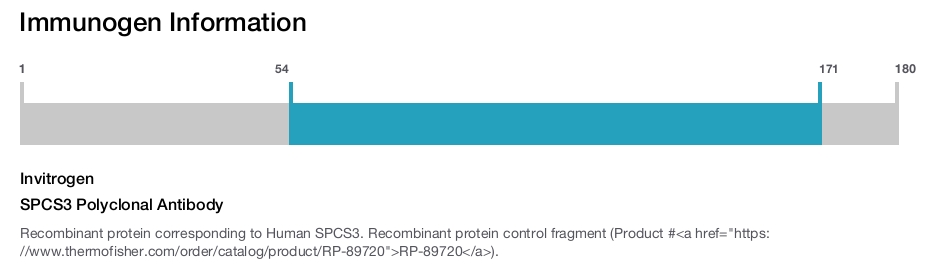SPCS3 Polyclonal Antibody