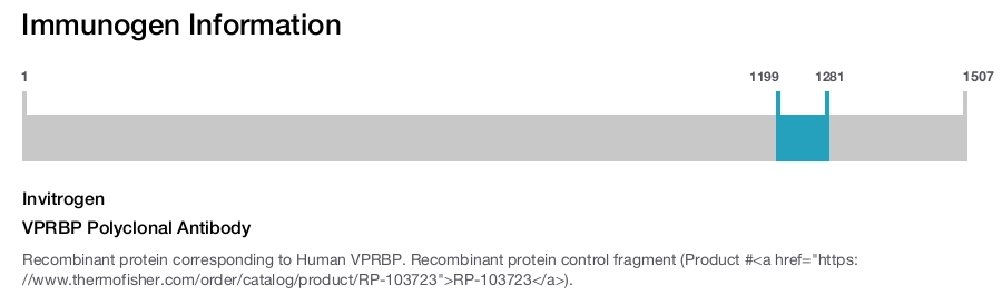 VPRBP Polyclonal Antibody